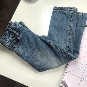 Boys Gap Fleeced Jeans